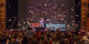 TEDxWelly 2017 Ideas Taking Flight